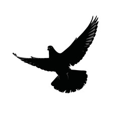 Solid black silhouette of a pigeon flying