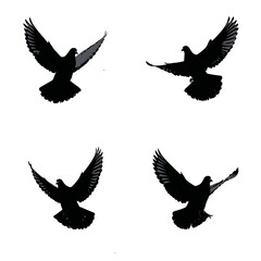 Solid black silhouette of a pigeon flying