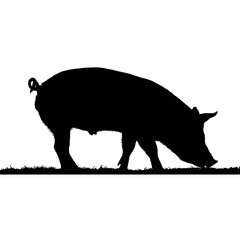 Solid black silhouette of a pig eating