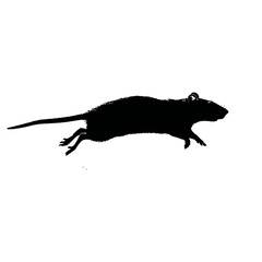 Solid black silhouette of a rat running