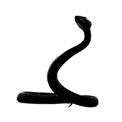 Solid black silhouette of a snake coiled