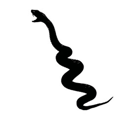 Solid black silhouette of a snake striking