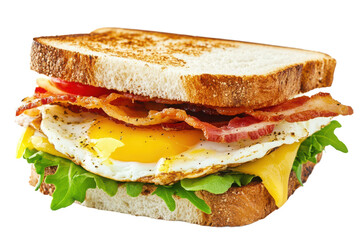 Delicious breakfast sandwich close up on transparent background