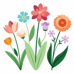Fototapeta premium Blossomed garden flowers vector on white background.