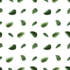 Hand Painted Strawberry Leaves Seamless Pattern