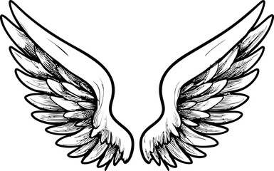 Obraz premium Illustration of detailed black and white angel wings with intricate feathers. Vector illustration in sketch style