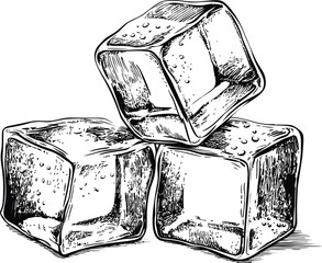Sketch of three detailed ice cubes with reflections and bubbles, monochrome art. Vector illustration