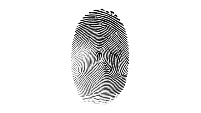 Forensic Detail: Close-up of an Isolated Fingerprint. A high-contrast photograph captures a detailed fingerprint, a unique identifier of an individual.