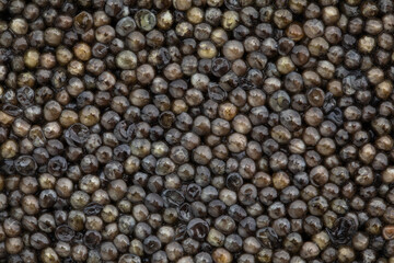 black caviar background, close-up view
