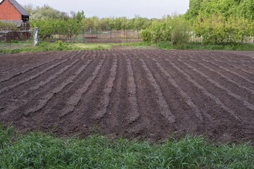 Brown furrows of earth on a field - agricultural preparation
