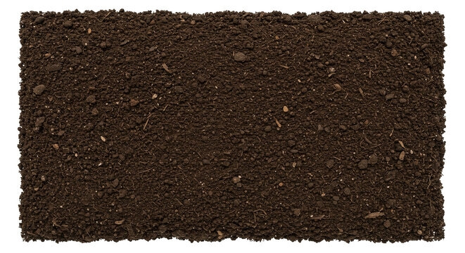 Fertile potting soil awaits planting