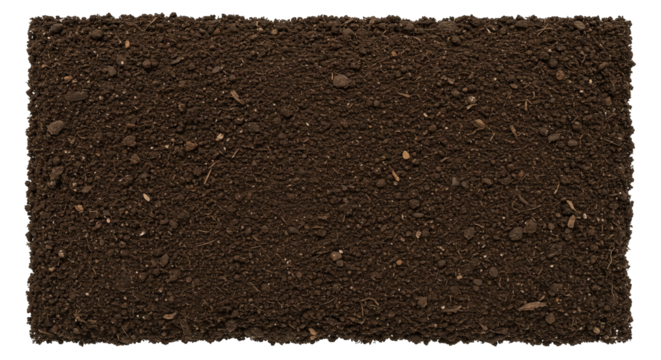 Fertile potting soil awaits planting