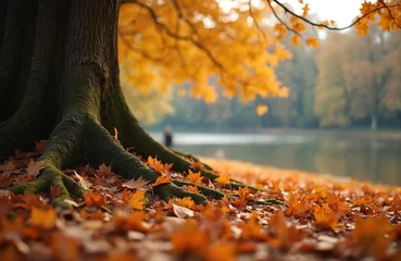 Fleecedeken met foto Autumn scene with tree, fallen leaves on ground. Orange maple leaves, blurred lake background, sunny day in park, nature outdoor. Fall season, autumn colors, landscape scenery. © Vadym