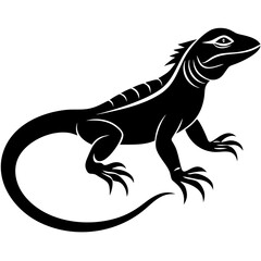 Creative details beautiful monitor lizard Vector Illustration