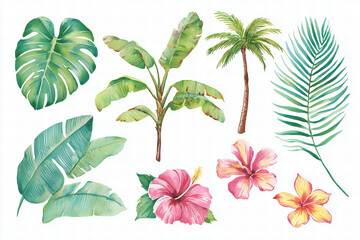 Tropical leaves and flowers set with palm trees isolated on transparent background