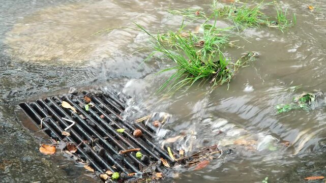 Rainwater flows over the ground and into the culverts or gutters