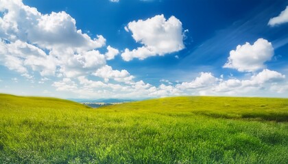 Obraz premium vibrant blue summer sky