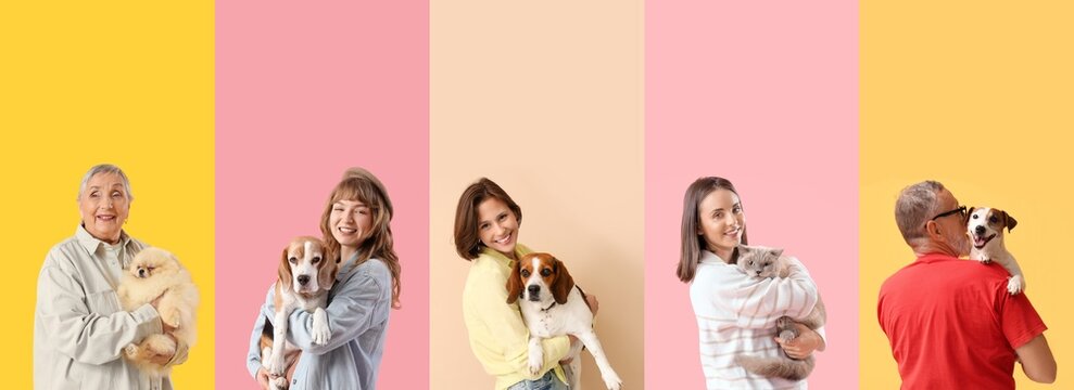 Collage of happy owners with their domestic animals on color background
