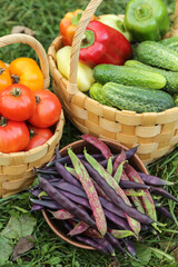 Fresh summer vegetables harvest on grass in garden close up. Harvesting organic pepper, cucumber, tomato and string beans on garden bed