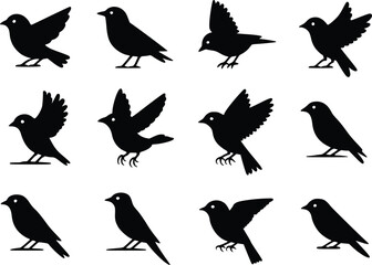 Graceful Flight Dynamic Feathered Friends Bird Wildlife Silhouette Vector Glyph Icons
