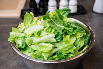 Fresh chopped romaine lettuce in metal bowl. A large bowl filled with freshly chopped romaine lettuce leaves, ready to be used for salads or meal prep.