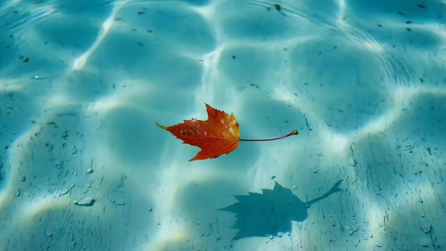 Autumn leaf on rippled water