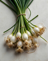 Fresh Bundle of Wild Onions