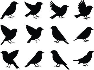 Graceful Flight Dynamic Feathered Friends Bird Wildlife Silhouette Vector Glyph Icons