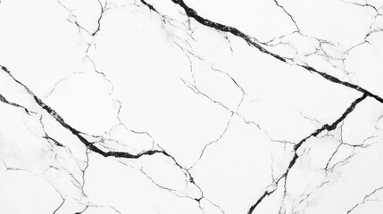 Clean white marble surface with bold black vein pattern for modern elegant design element