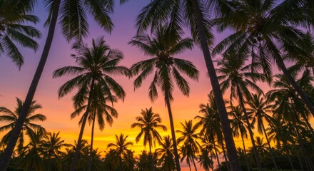 Obraz premium Silhouette of Palm Trees at Vibrant Sunset