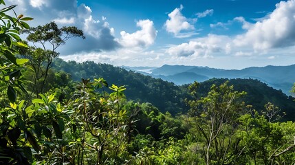 Vibrant Green Forest And Lush Vegetation Under A Cloudy Blue Sky With Sunlight