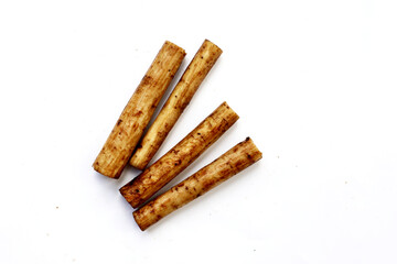 Fresh burdock roots or gobo roots