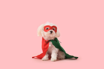 Cute little dog in superhero costume on pink background