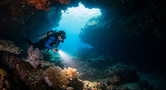 Exploring a Underwater Cave Woman Diver with a Flashlight Swimming in the Deep Blue Sea Surrounded by Coral and Underwater Wildlife in Tropical Location