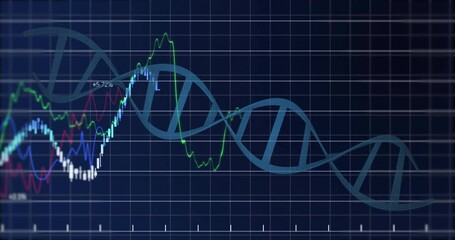 DNA double helix rotating over dark grid, showing colored line charts and candlestick bars - Powered by Adobe