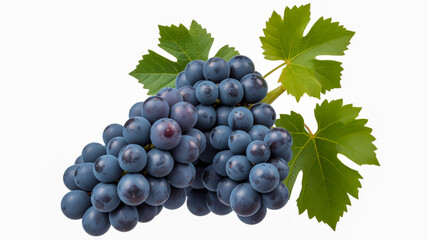A high-resolution photograph of a fresh bunch of dark purple grapes against a pure white background.