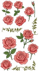 Blushing Roses: Delicate Botanical Illustration