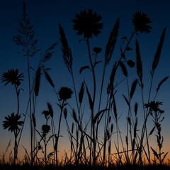 Obraz premium Twilight Meadow: Silhouetted Flowers at Sunset