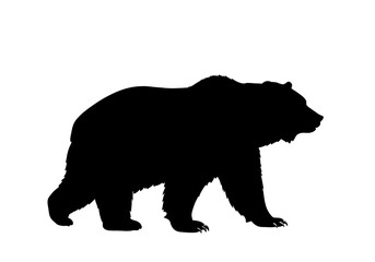 Fototapeta premium Majestic Bear Silhouette: Powerful, Dark Elegance
