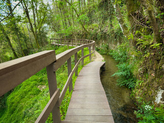 Fototapeta premium Jugueiros Levada walkway. A wooden boardwalk with railings curves alongside a clear Levada, winding through a vibrant green forest in Jugueiros, Felgueiras, Portugal, inviting exploration