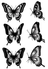 Elegant Black & White Butterfly Illustrations