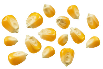 Flying corn seeds on transparent background