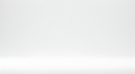 Studio Background: White Seamless Gradient
