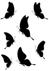 Fototapeta premium Elegant Black Butterfly Silhouettes: Graceful Flight