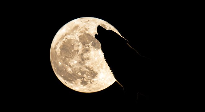 Wolf's Howl: Full Moon Silhouette