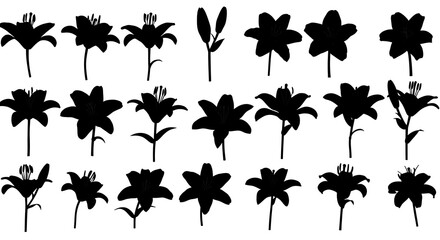 Elegant Lily Silhouettes: A Collection of Black Floral Designs