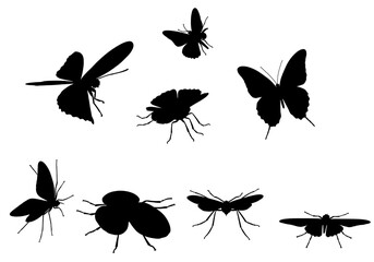 Fototapeta premium Silhouette Butterflies: Flight of Fancy