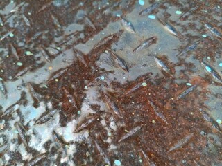 old rusty metal texture