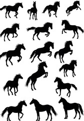 Fototapeta premium Elegant Horse Silhouettes: A Collection of Black & White Equine Art