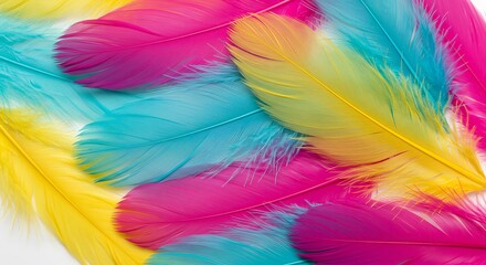 Chromatic Plume Symphony